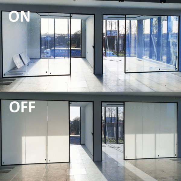 Switchable Smart Glass
